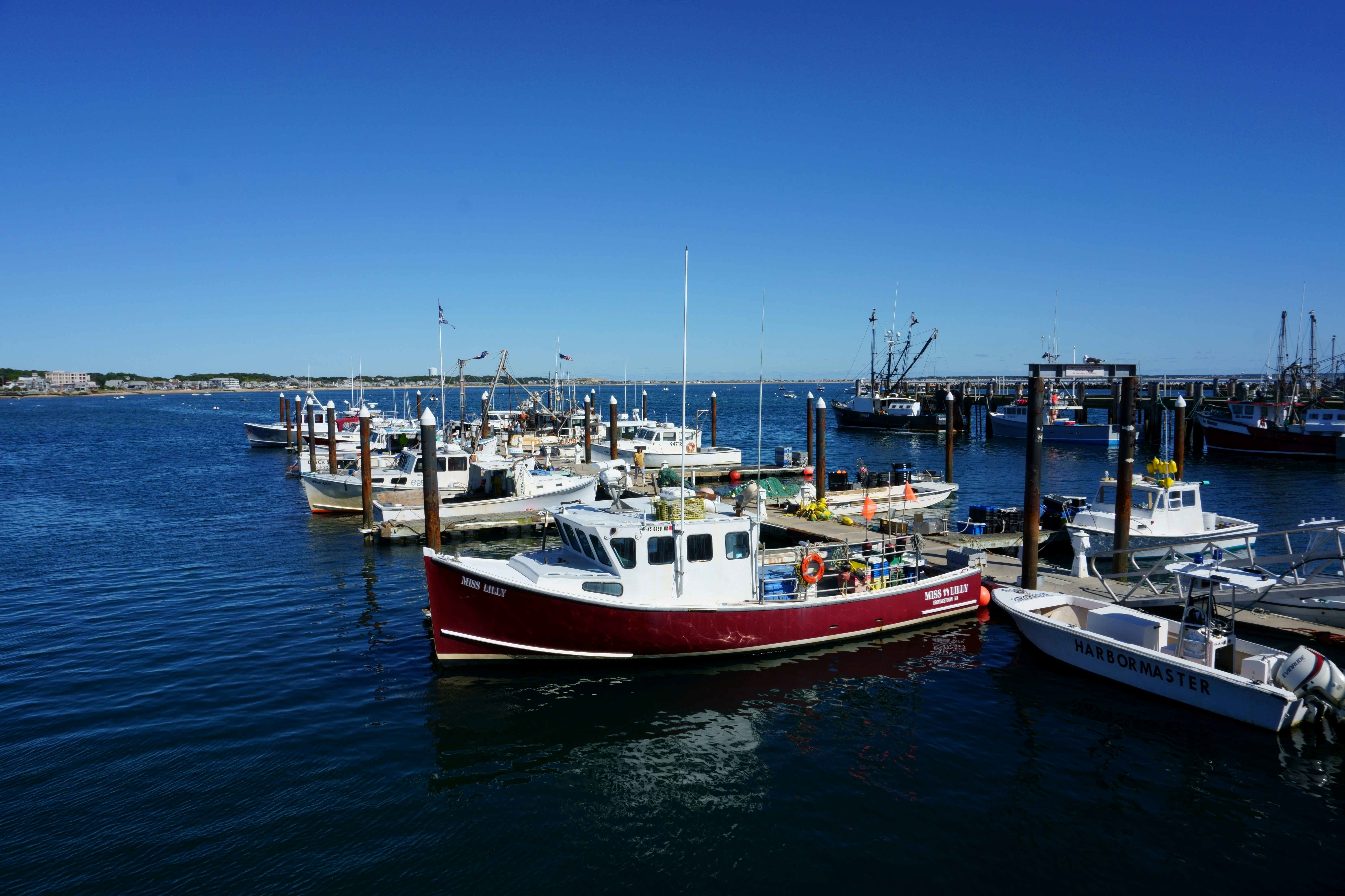 Boats in the harbor. Photo by Leon Feng on Unsplash